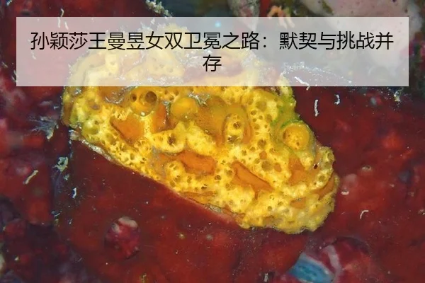 sun-ying-sha-wang-man-yu-nv-shuang-wei-mian-zhi-lu-mo-qi-yu-tiao-zhan-bing-cun-3-860.jpg